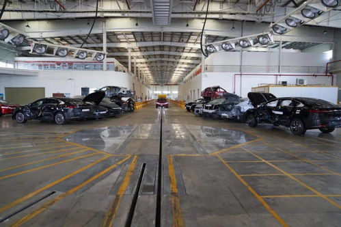 日均撞废两辆车，比亚迪公开实验室背后的安全密码与行业启示