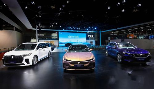 自主新能源品牌高端突围 如何实现豪华市场之梦