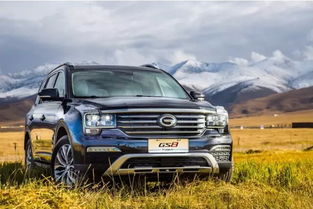 东莞市祺鑫汽车销售服务 专业与信赖的汽车销售伙伴